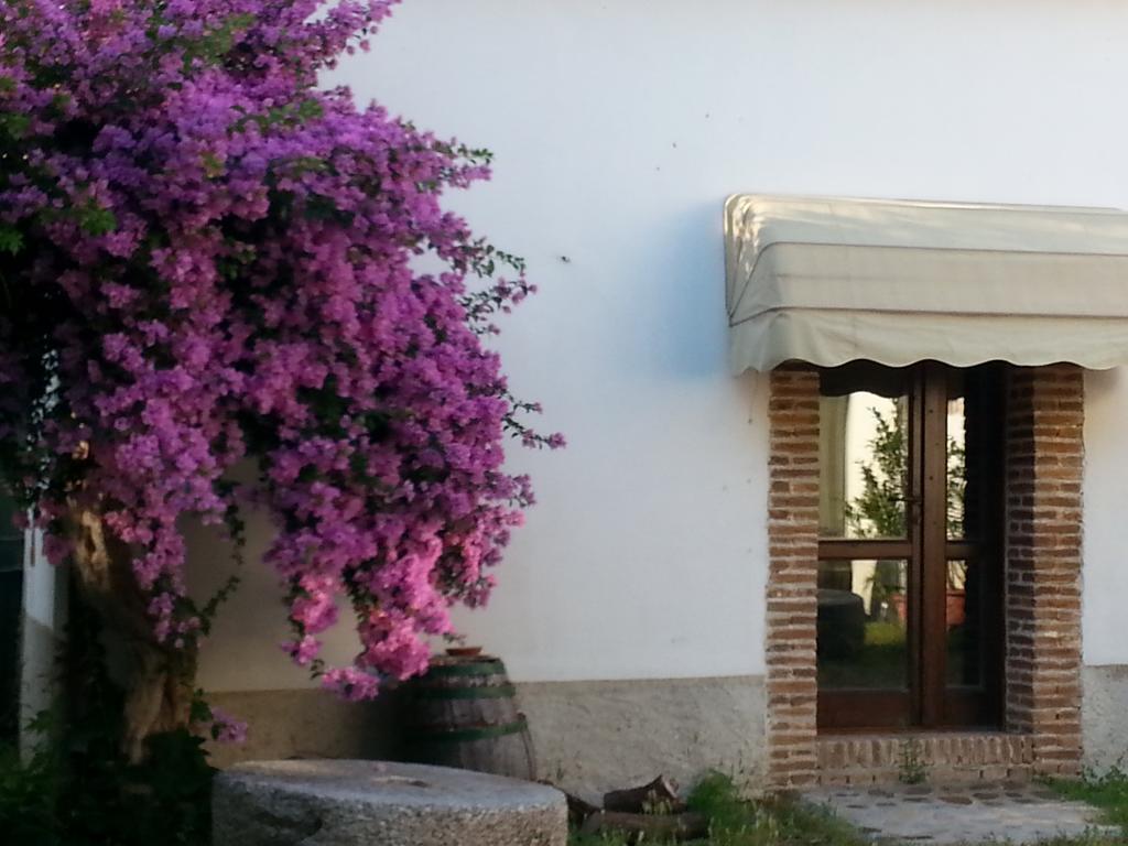 Agriturismo Malena Amica Exterior foto
